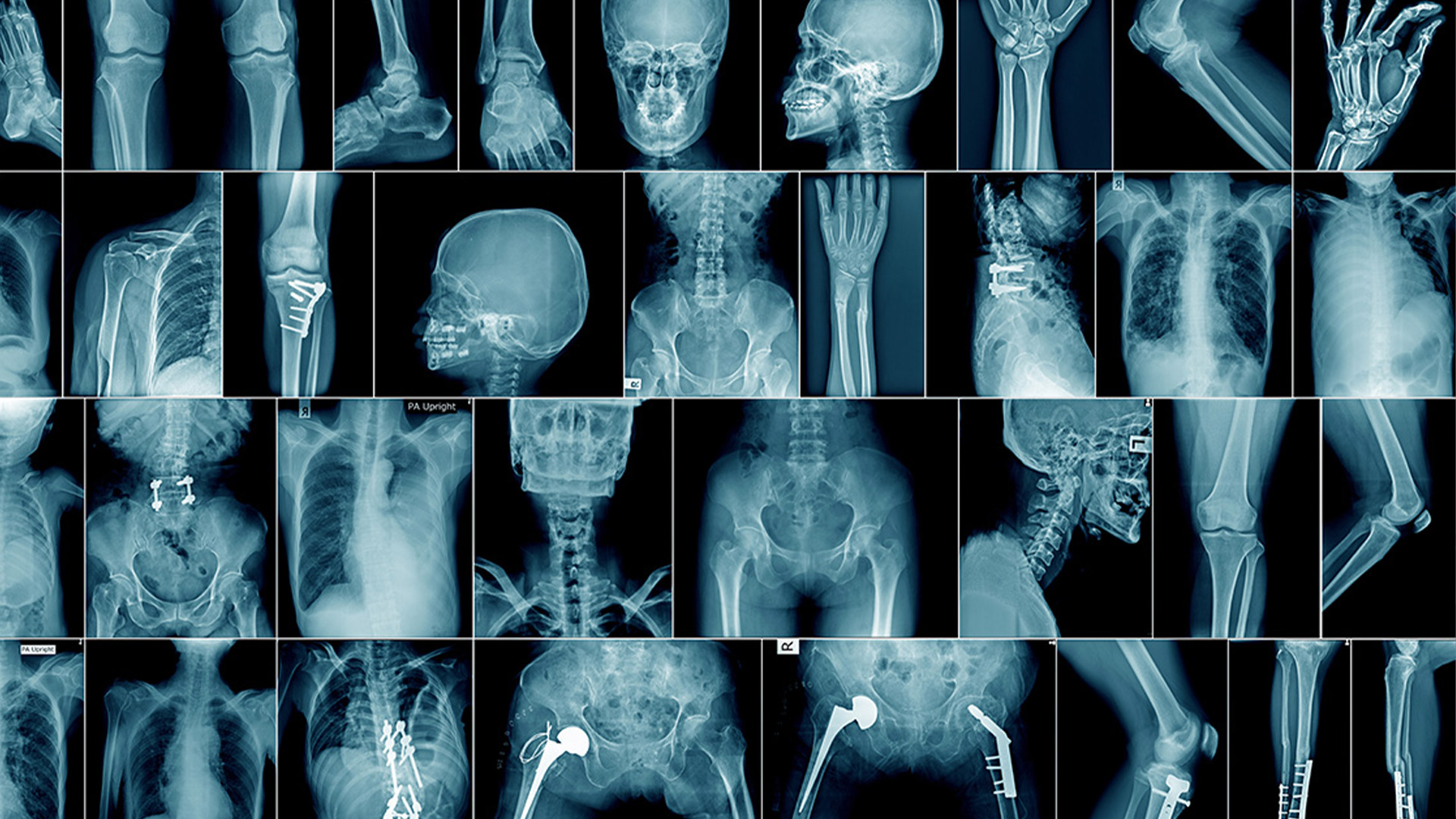 Radiology-Images-v2
